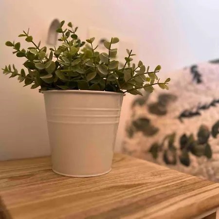 Apartamento Tropical Chic Casares